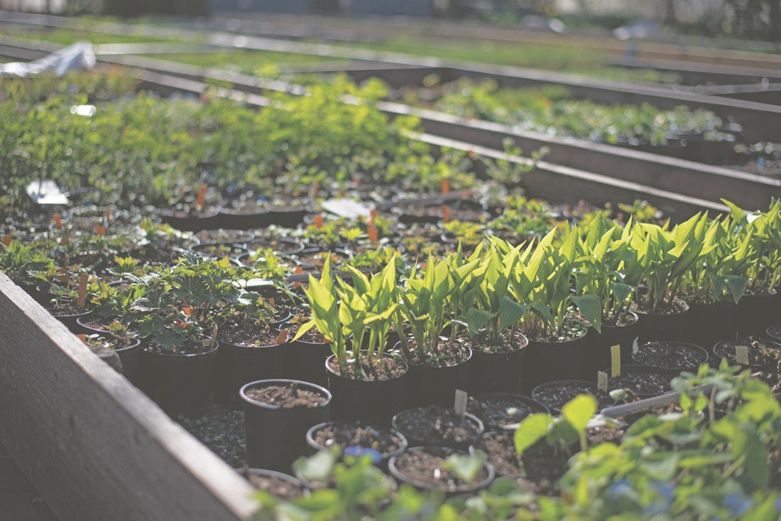 Von Lebensfreude und gesunder Produktivität