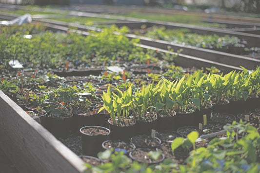 Von Lebensfreude und gesunder Produktivität