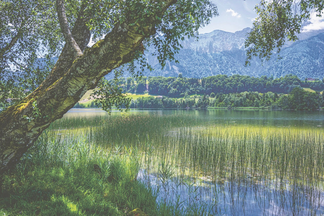 Kleine Seen – grosse Aussicht