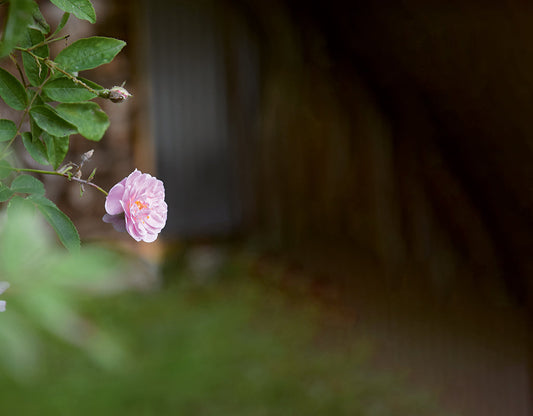 Ein Ort der Ruhe und Entspannung