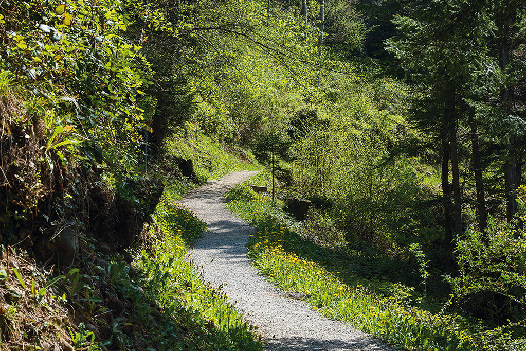 Im Frühling durch die Gummischlucht