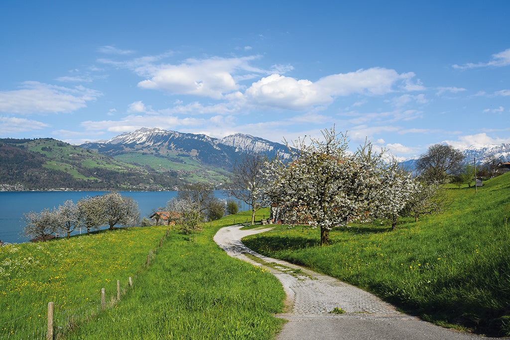 Unterwegs auf dem Blueschtwäg