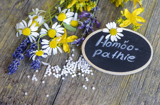 Die Kraft der Homöopathie
