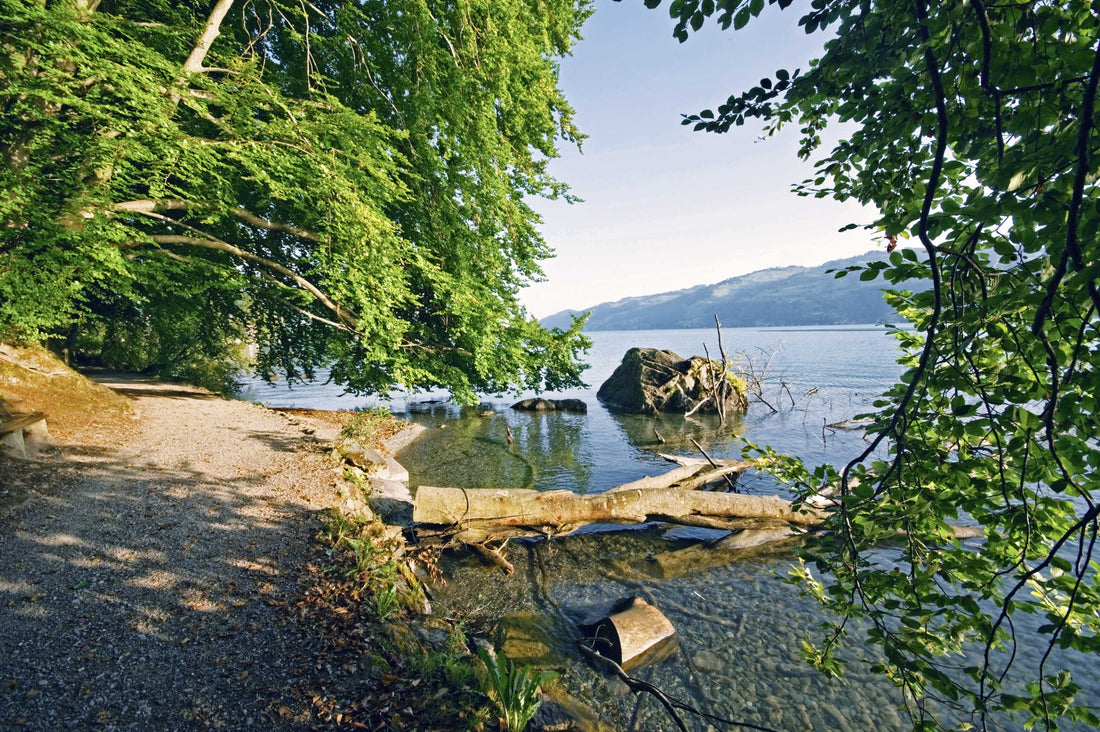100 Jahre Strandweg Spiez – Faulensee