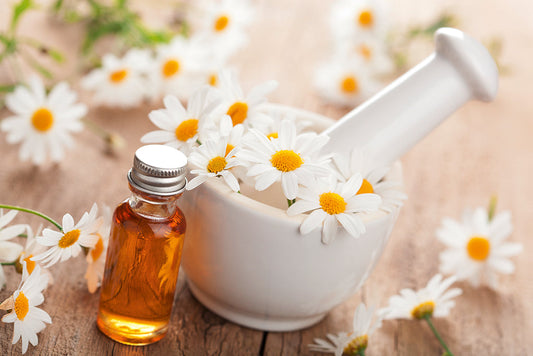 Naturapotheke: Alte Hausmittel wiederentdeckt