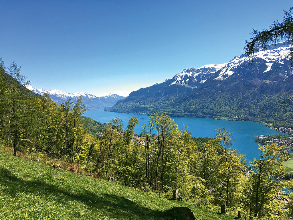 Frühlingswalk auf den Harder