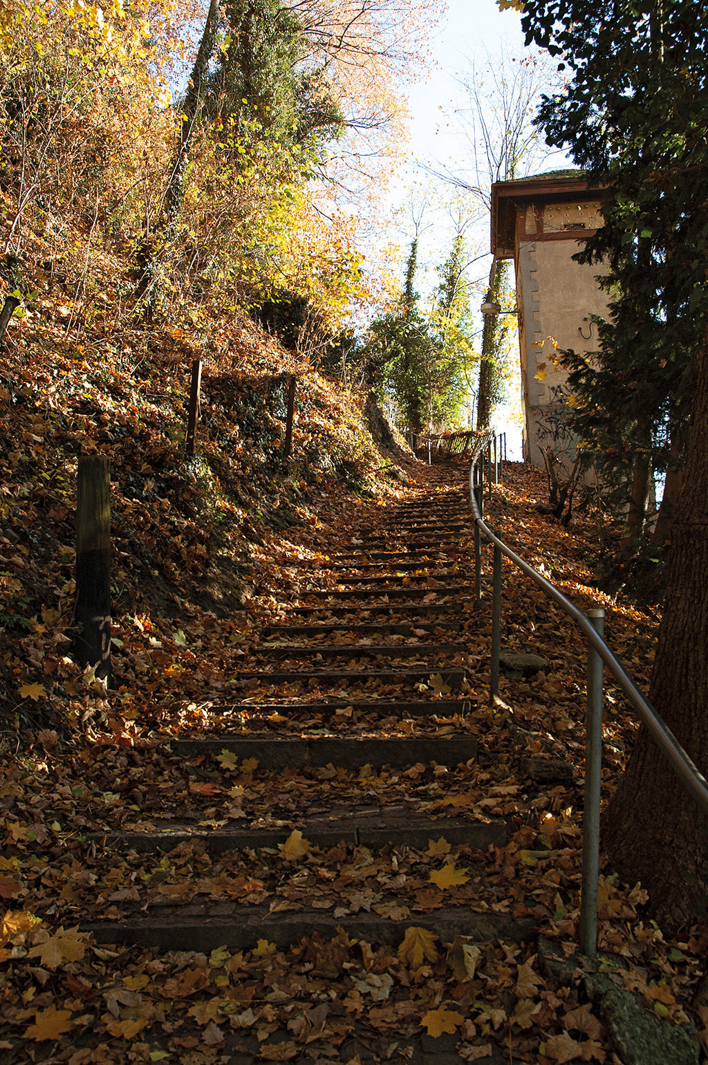 Von pionierhaftem  Wagemut und  von behördlichem  Versagen