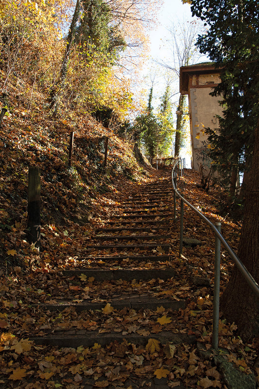 Von pionierhaftem  Wagemut und  von behördlichem  Versagen