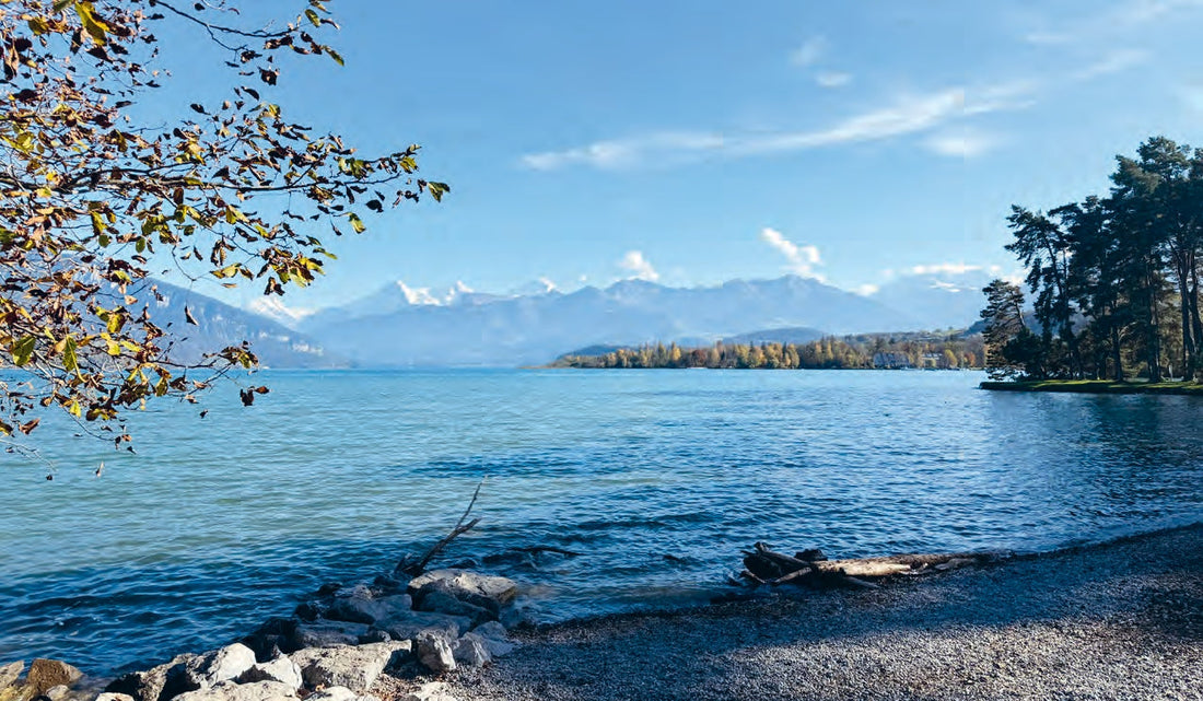 Der Thunersee für zu Hause