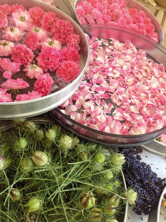 Schönheit und Genuss aus meinem Garten