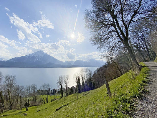 Frühlingswanderung von Schwanden nach Merligen