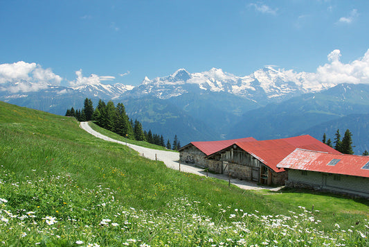 Harte Arbeit im Paradies