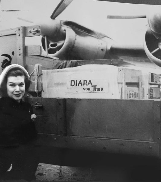 Schwanen-Geschenke an die Stadt und von der Stadt Thun