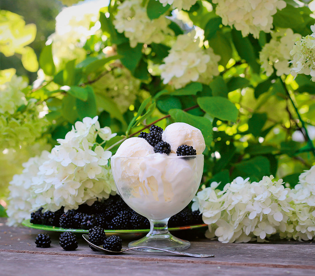 Sommer, Sonne, Gelato!