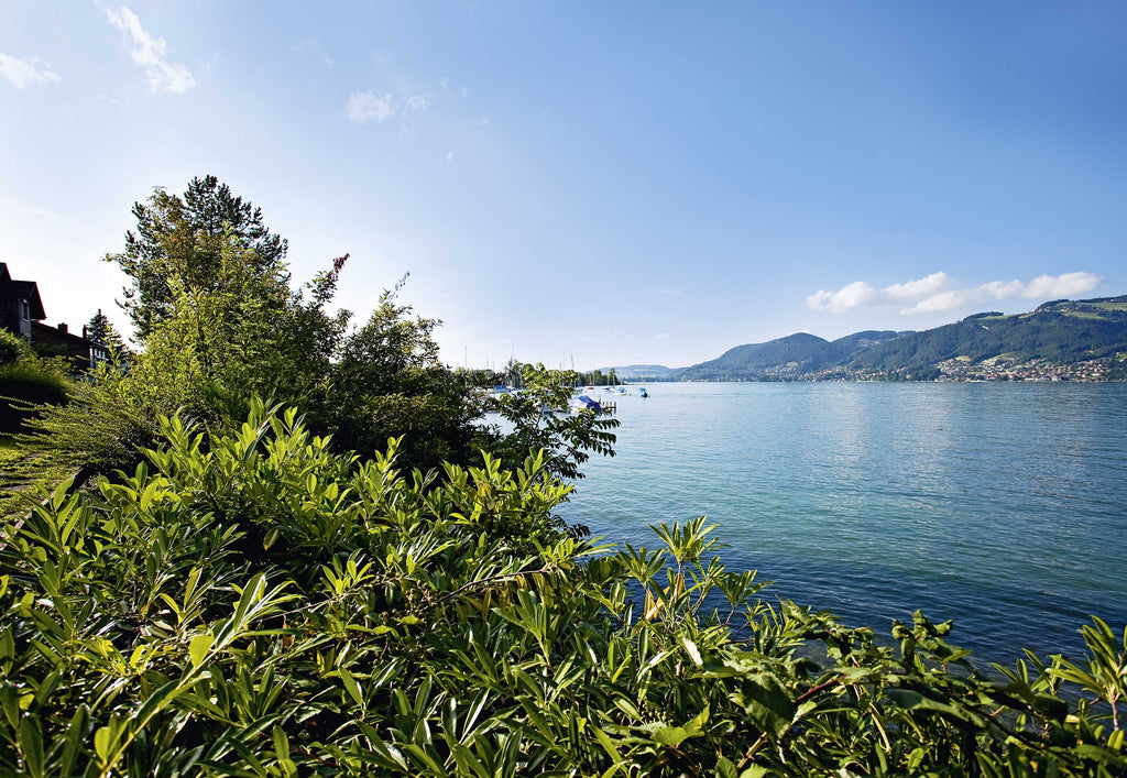 Das Paradies am Thunersee