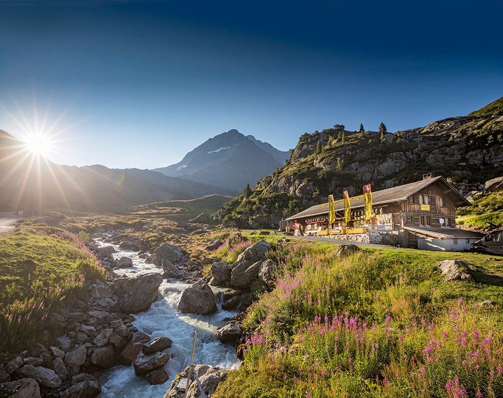 Auf der Suche nach dem Alpkäse