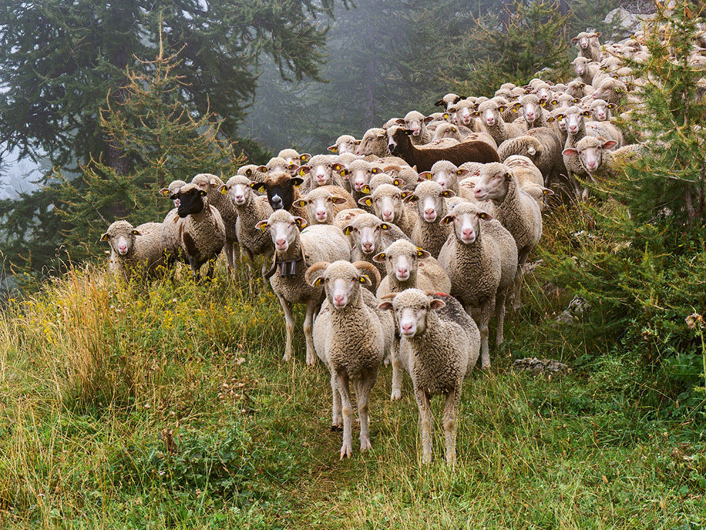 Natur pur u d Goud-Adere