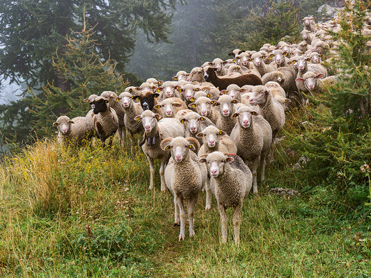 Natur pur u d Goud-Adere