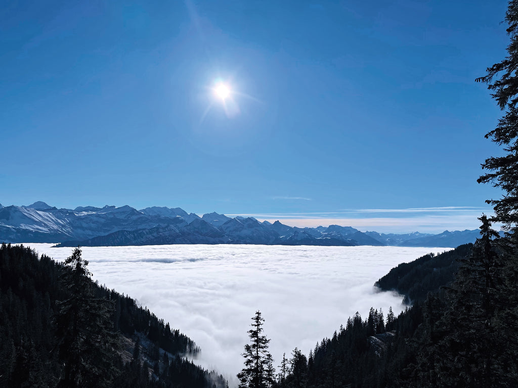 Der Thunersee  in den Farben des Winters