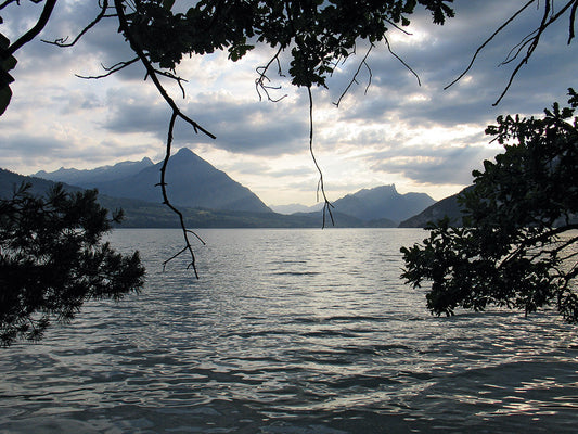 Sagenwelten am Wendelsee