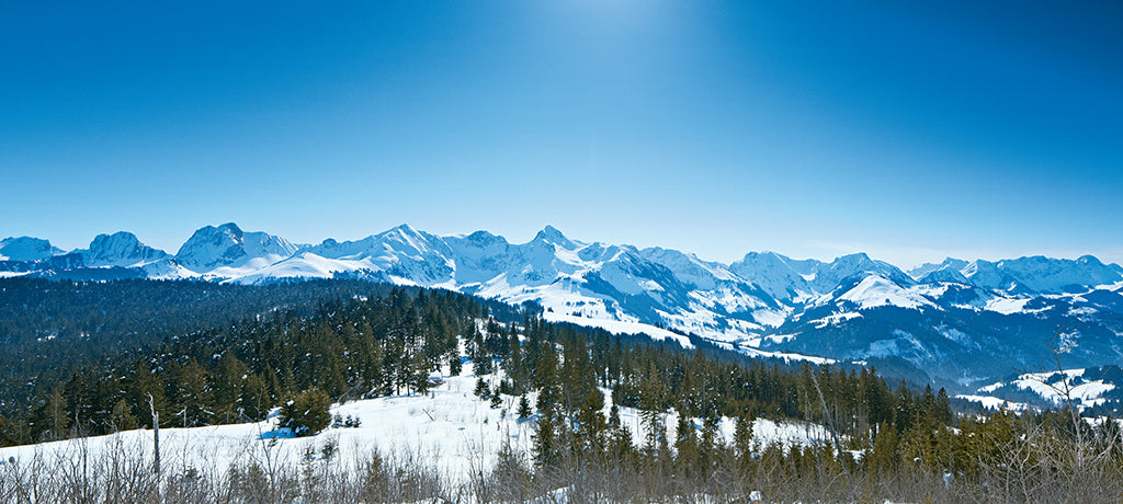 Winterwunderland mit Fernsicht