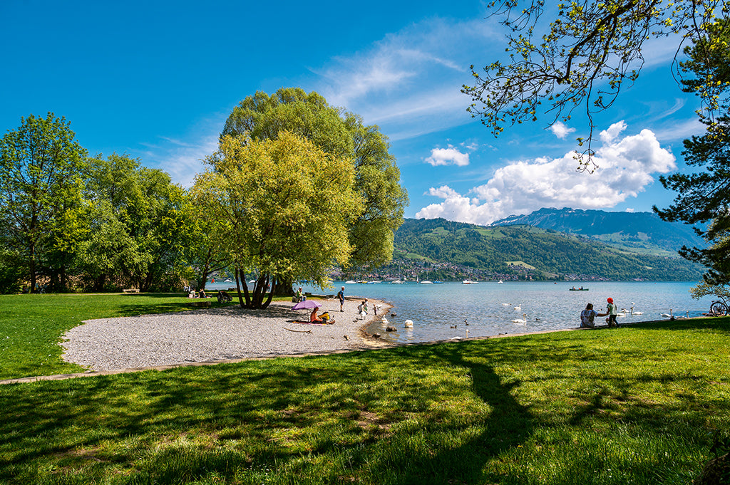 Strandparadies Thunersee