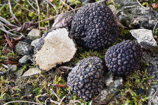 Amour fou: Pilze zum Dessert