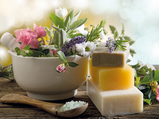 Naturapotheke – Hautpflege mit Heilpflanzen