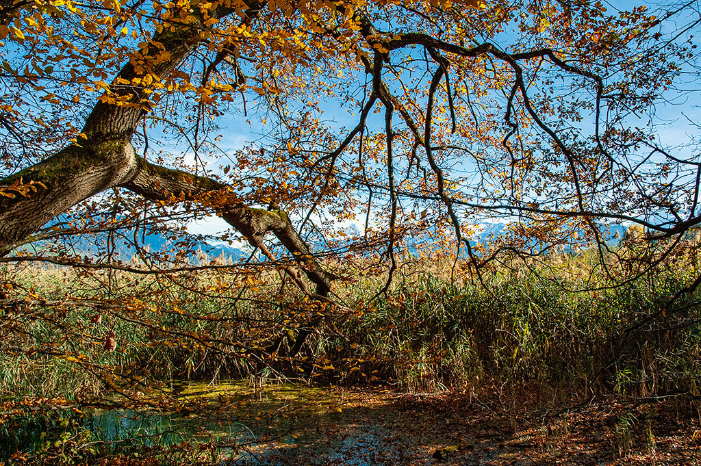 Ein herbstlicher Besuch am See