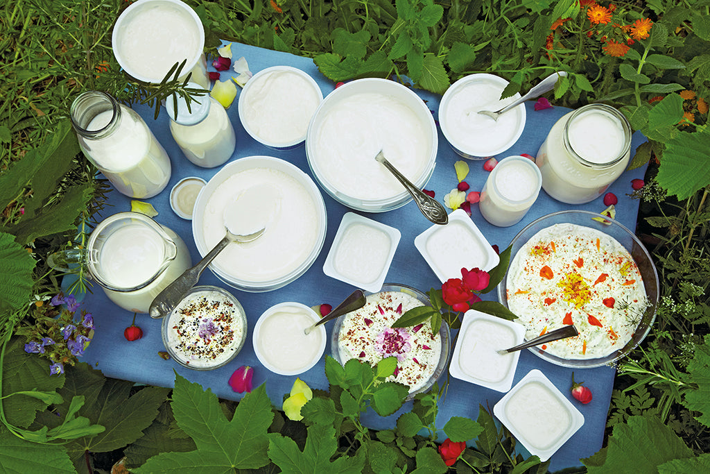Joghurt mal anders!