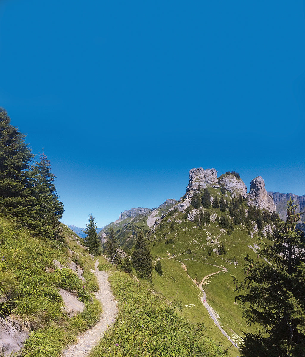 Die schönsten Wanderungen in der Jungfrau Region