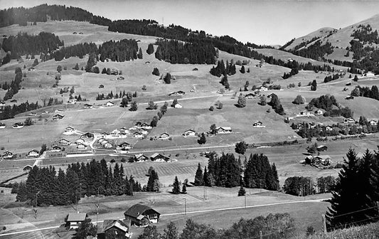 Man hat uns Chauffeure um Rat gefragt