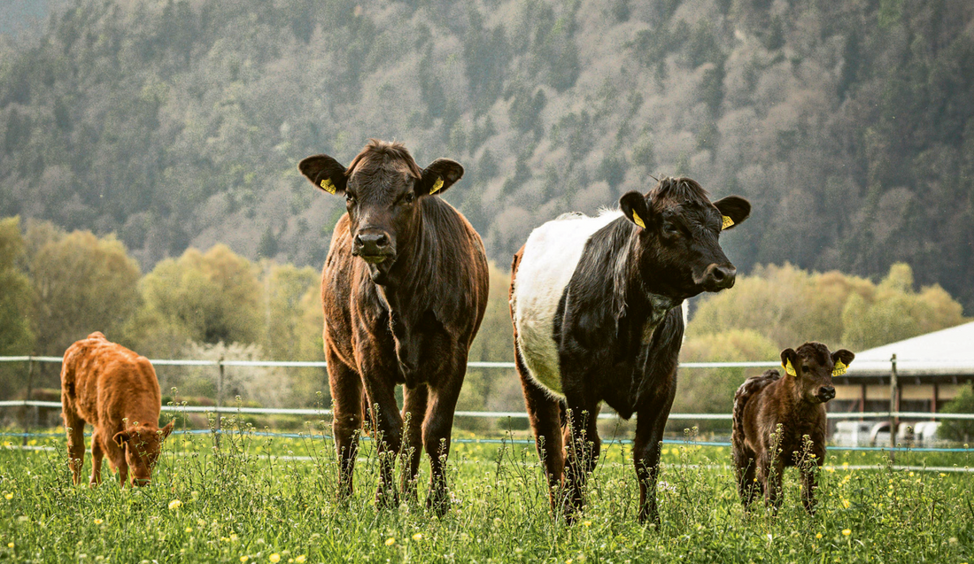 Gehalten mit  Respekt, bis zum Schluss