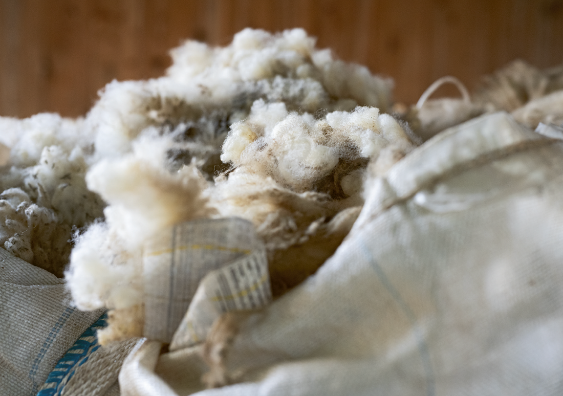 Haarige Sache - die Arbeit mit der Wolle