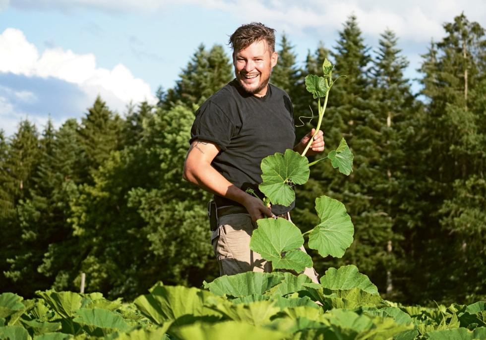Im Reich der Kürbisse