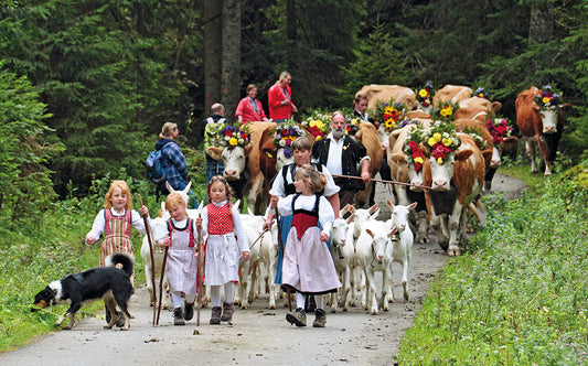 Alpabzug: Das Fest der Älpler