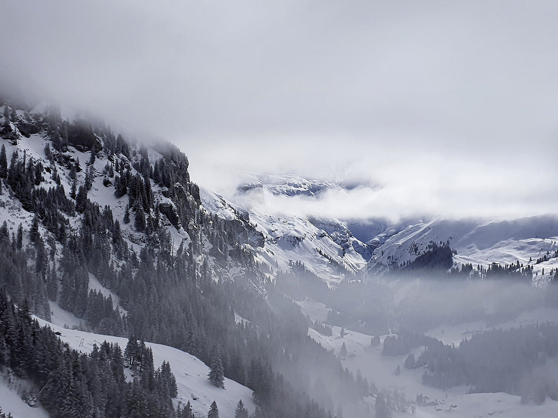 Der neue Umgang mit der Natur