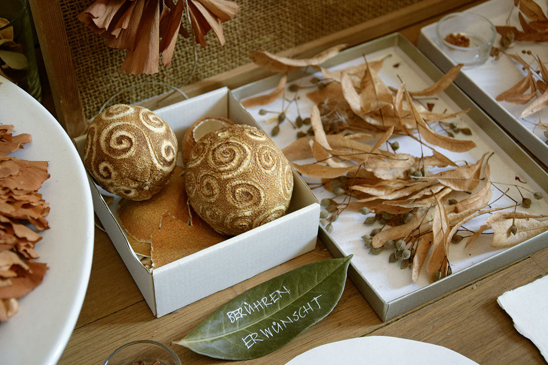 Ursula Wahlen: Im Kosmos der Pflanzen