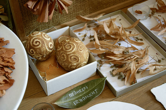 Ursula Wahlen: Im Kosmos der Pflanzen