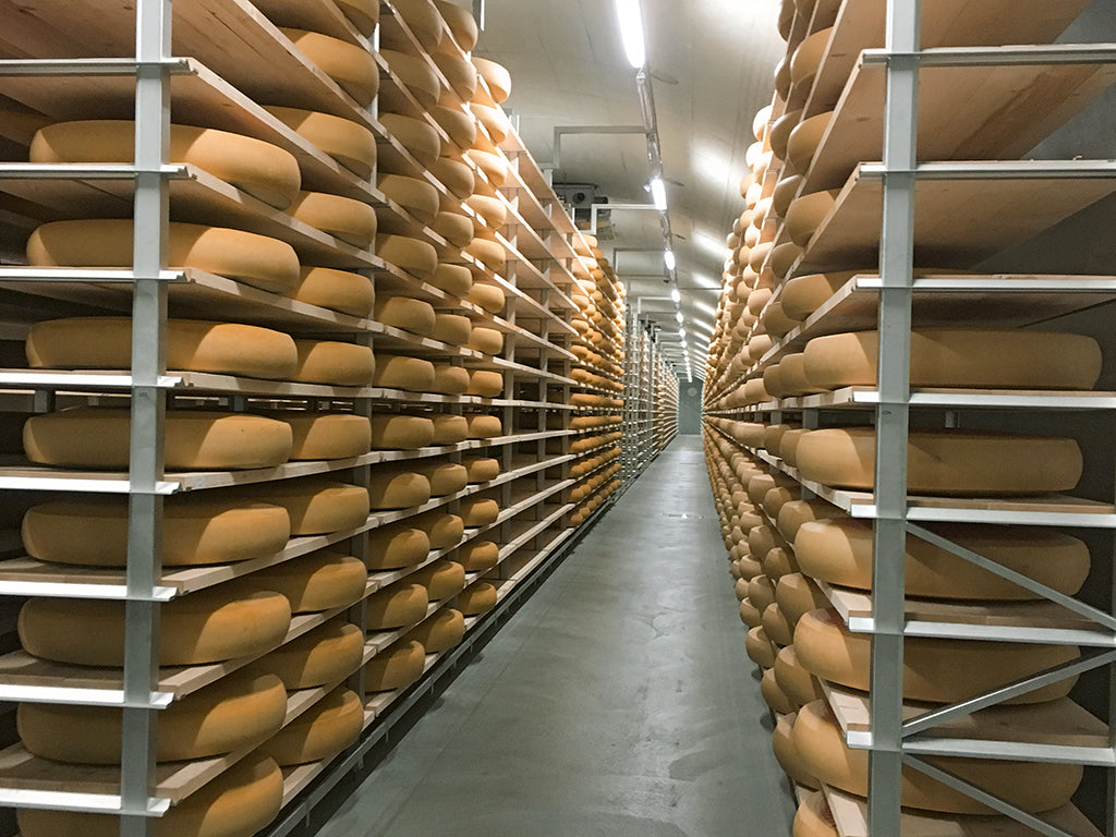 Familie Gasser: Ein Emmentaler mit mehrfacher Prämierung