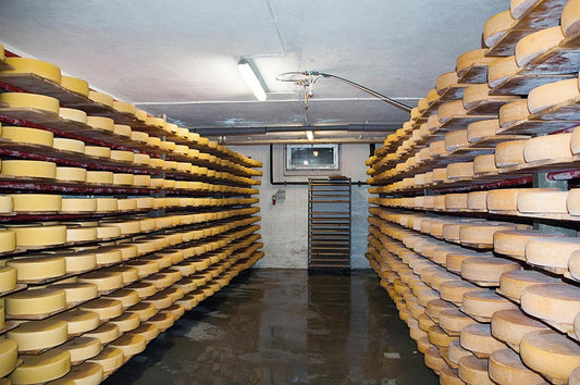 Altbewährtes und Innovatives aus der Käserei