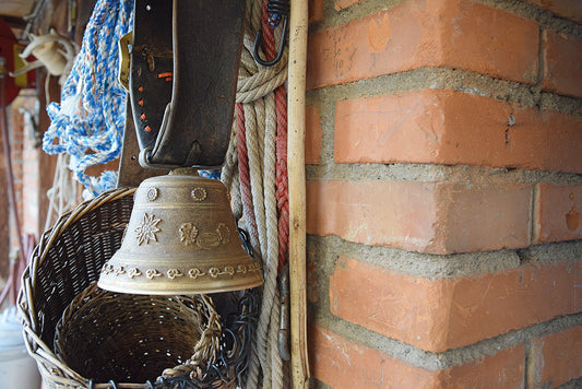 Geniessen ab Hof – Wo die Kühe noch Hörner haben