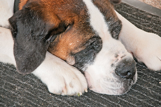 «Barrys» Seniorenresidenz