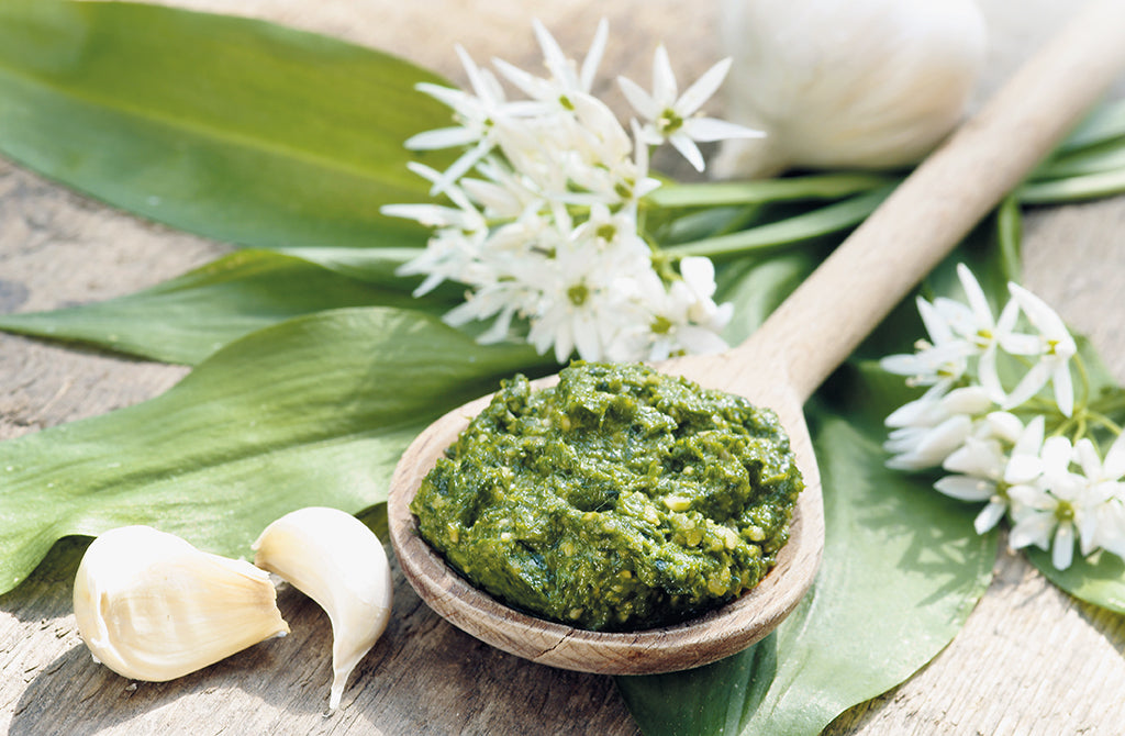 Bärenstarke Frühlingsrezepte