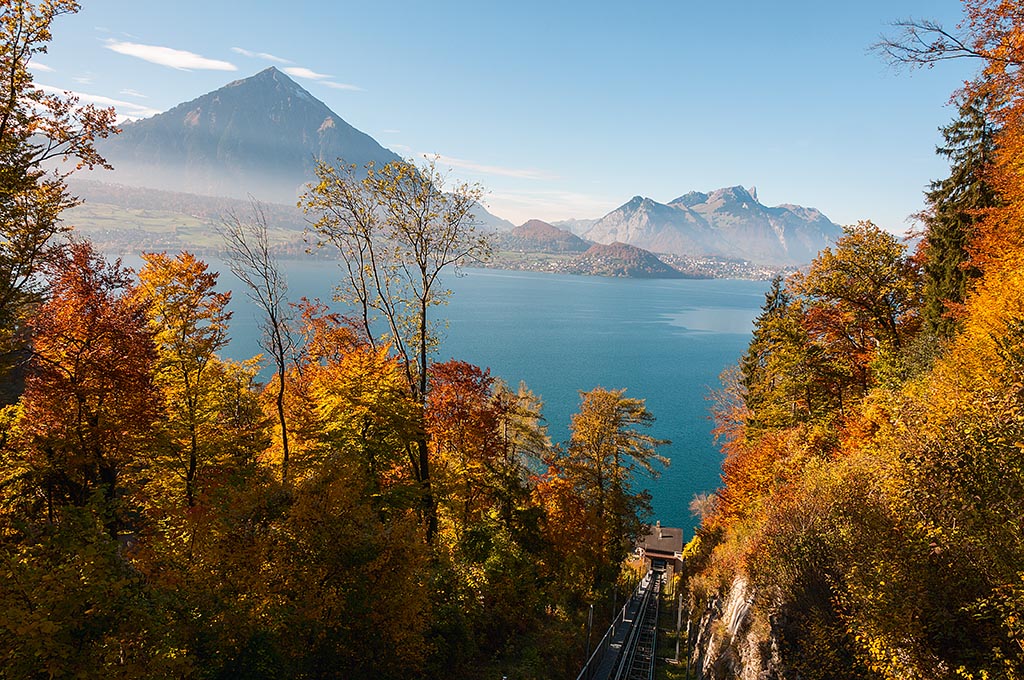 Goldgelbe Blätter, tiefblau der See