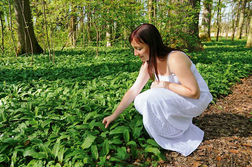 Naturapotheke: Essbare Wildpflanzen – Delikatessen der Natur