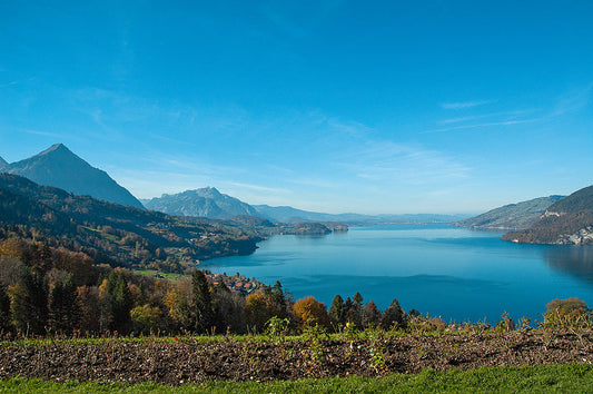Über die Hängebrücke nach Leissigen