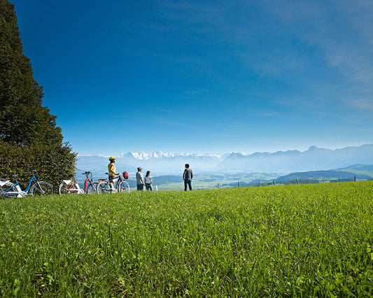 Die Region rund um den Thunersee ­komfortabel entdecken