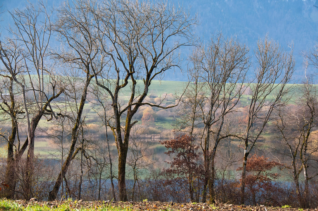 Die Natur in den Schutzgebieten ruht