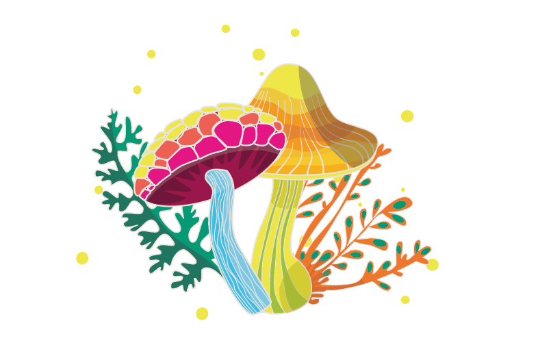 Heilung und Selbsterkenntnis durch psychoaktive Substanzen